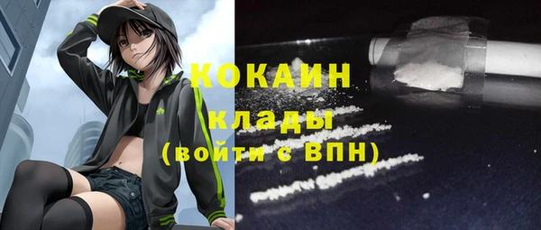 первитин Ельня