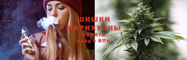 дмт Елабуга