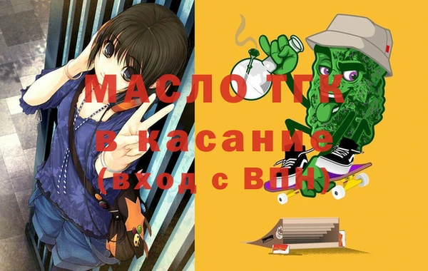 дмт Елабуга