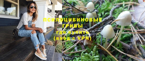 первитин Ельня