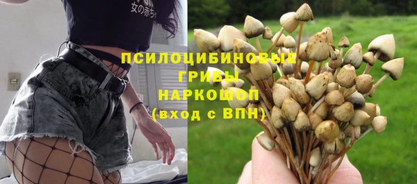 амфетамин Елизово