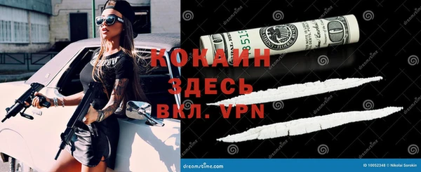 мефедрон мука Заводоуковск
