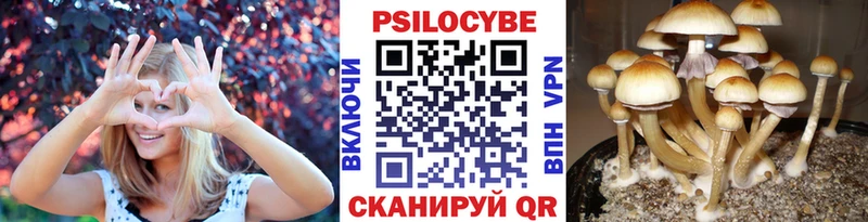 Псилоцибиновые грибы мухоморы  Купить  Боготол 